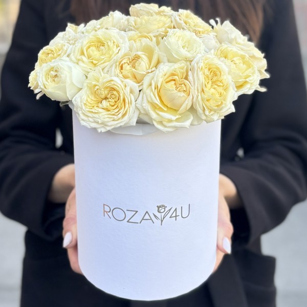 11 кустовых пионовидных кремовых роз Джульетта в коробке