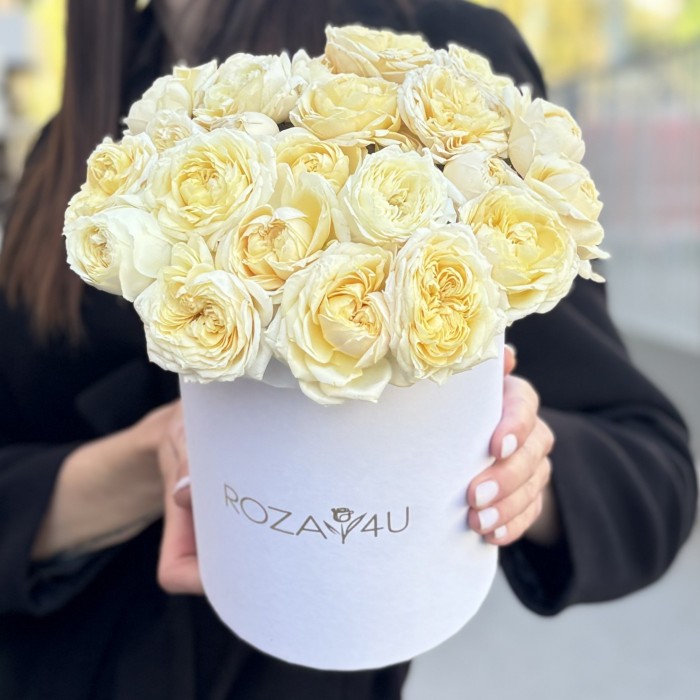 11 кустовых пионовидных кремовых роз Джульетта в коробке