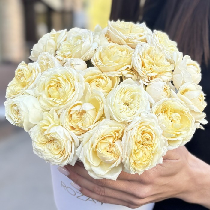 11 кустовых пионовидных кремовых роз Джульетта в коробке