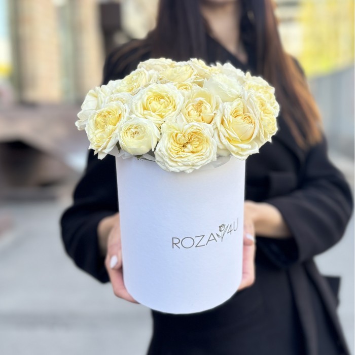 11 кустовых пионовидных кремовых роз Джульетта в коробке