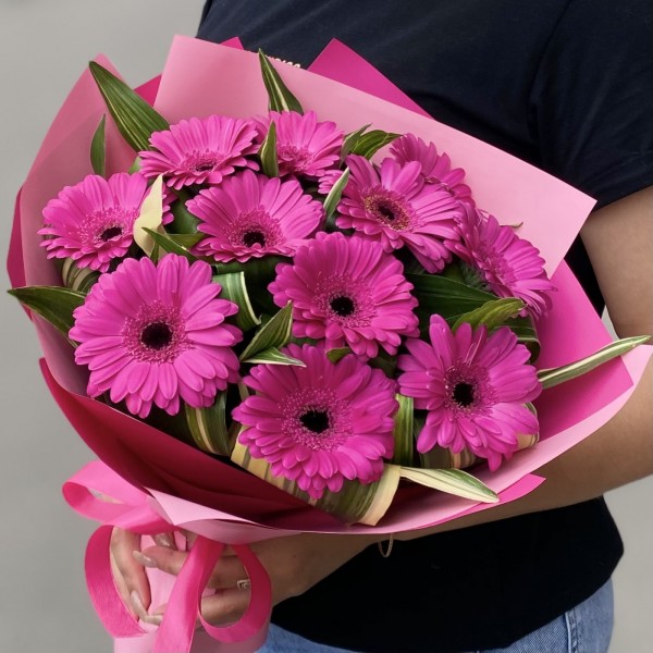 11 малиновых гербер