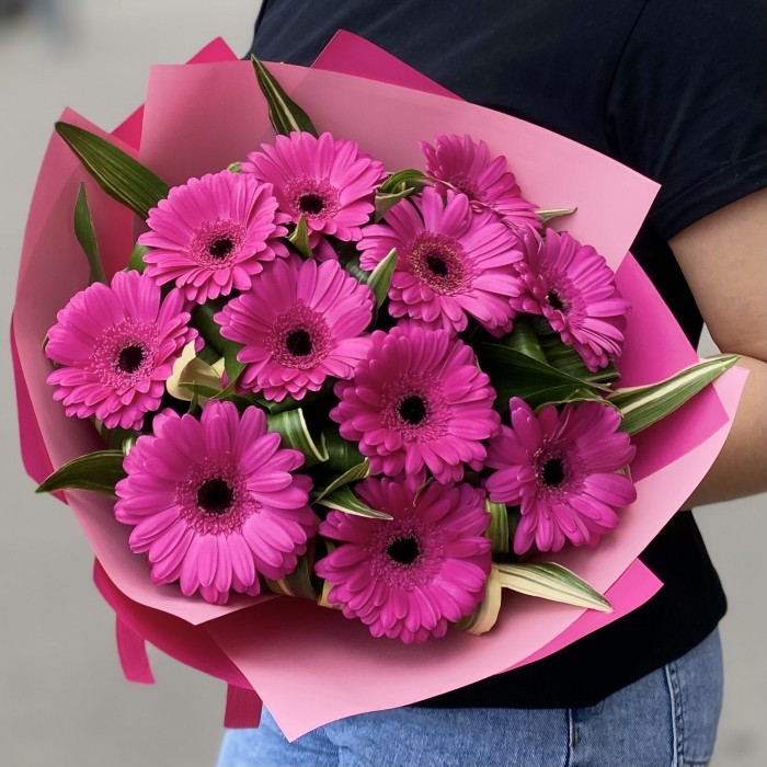 11 малиновых гербер