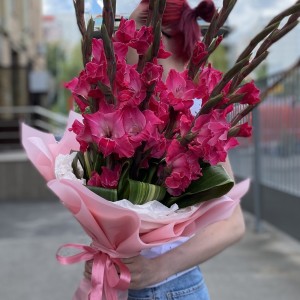 11 малиновых гладиолусов с аспидистрой