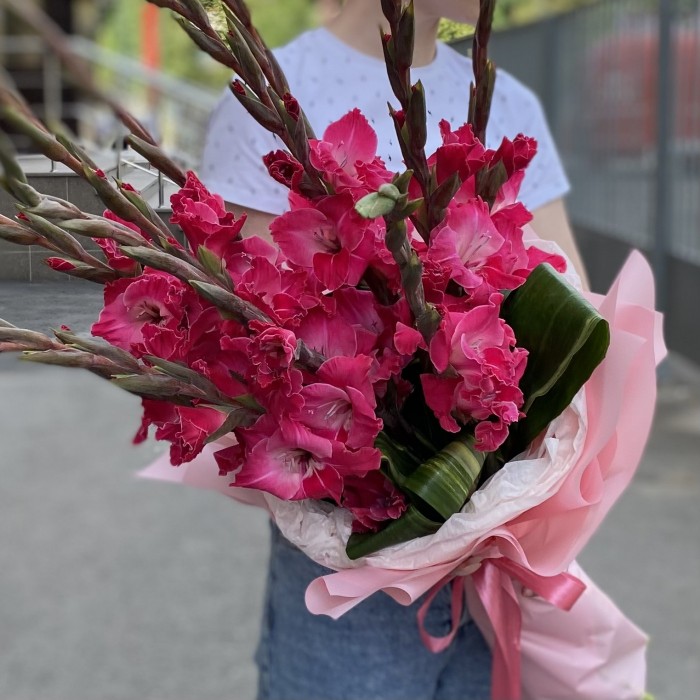 11 малиновых гладиолусов с аспидистрой