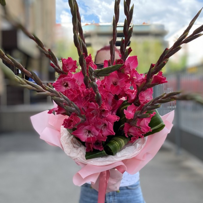 11 малиновых гладиолусов с аспидистрой
