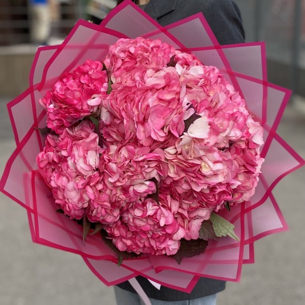 11 малиновых гортензий