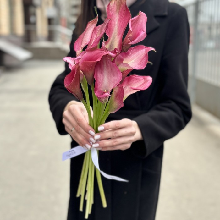 11 малиновых калл