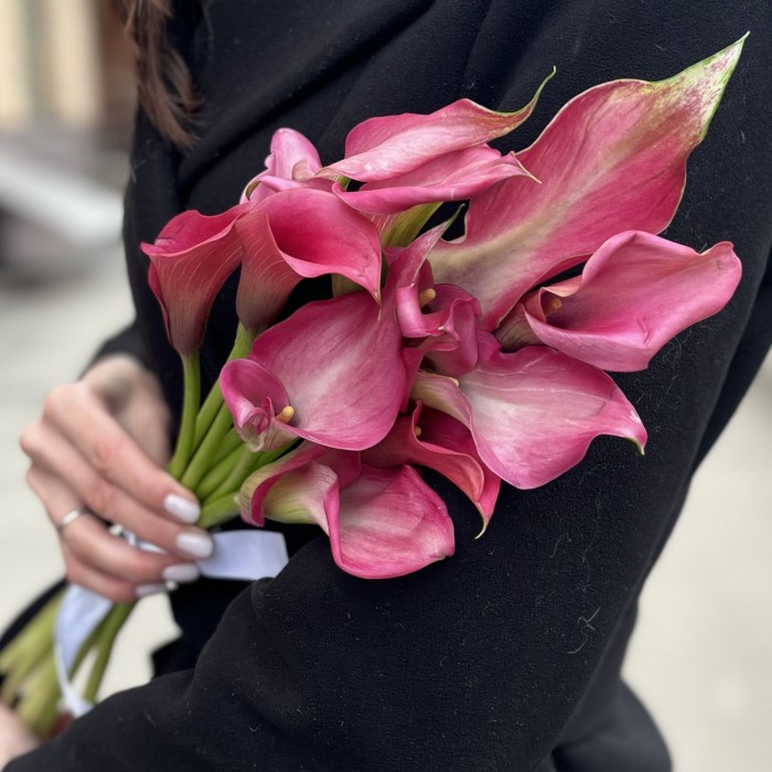 11 малиновых калл