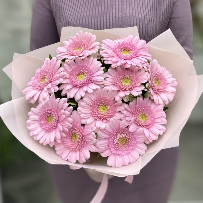 11 нежно-розовых гербер