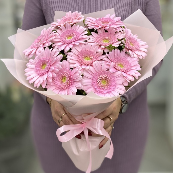 11 нежно-розовых гербер