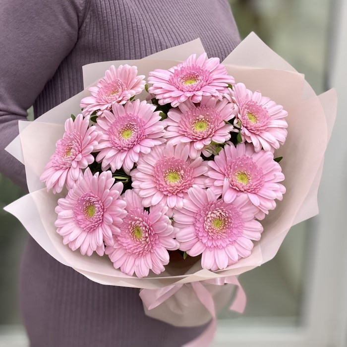 11 нежно-розовых гербер