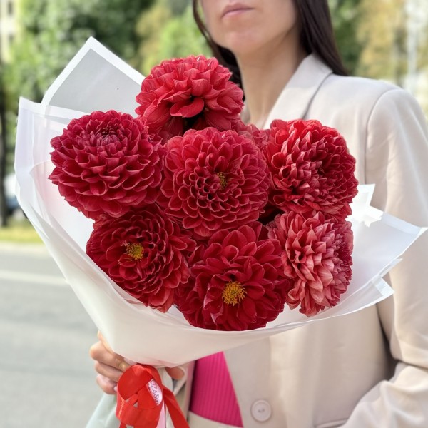 11 оранжевых георгин Помпон