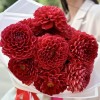 11 оранжевых георгин Помпон