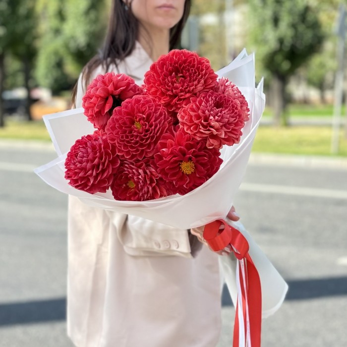 11 оранжевых георгин Помпон