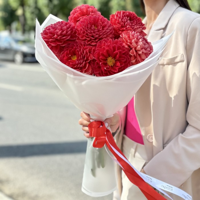 11 оранжевых георгин Помпон