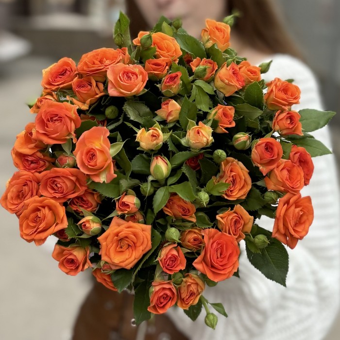 11 оранжевых кустовых роз Чарминг Бейб в коробке