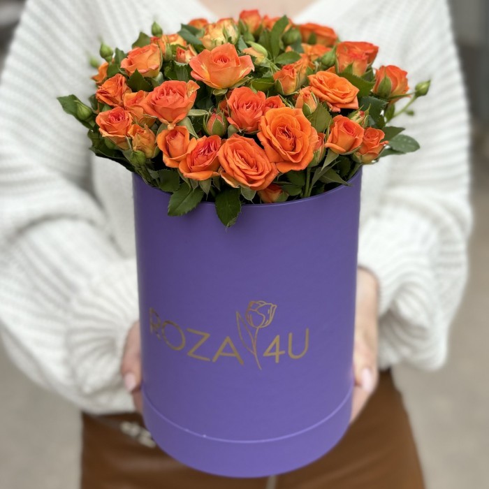 11 оранжевых кустовых роз Чарминг Бейб в коробке