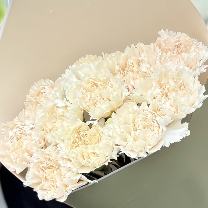 11 персиковых гвоздик Эппл Ти