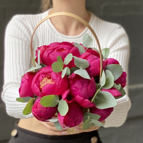 11 пионов Вайт Кеп с эвкалиптом в корзине