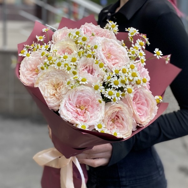 11 пионовидных роз Тсумуги с ромашками