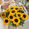 11 подсолнухов в корзине