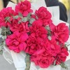 11 пышных малиновых роз с эвкалиптом в упаковке