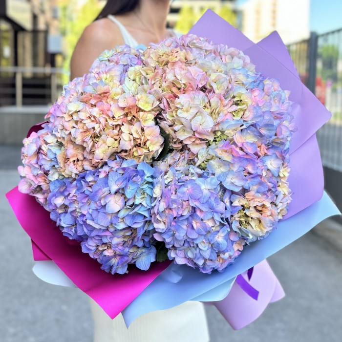 11 радужных гортензий