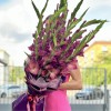 11 розово-фиолетовых гладиолусов в упаковке