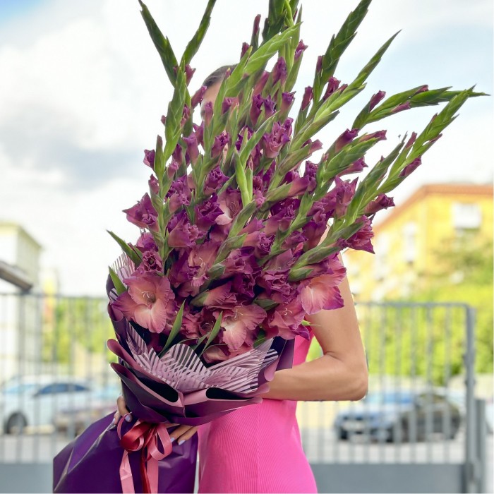 11 розово-фиолетовых гладиолусов в упаковке