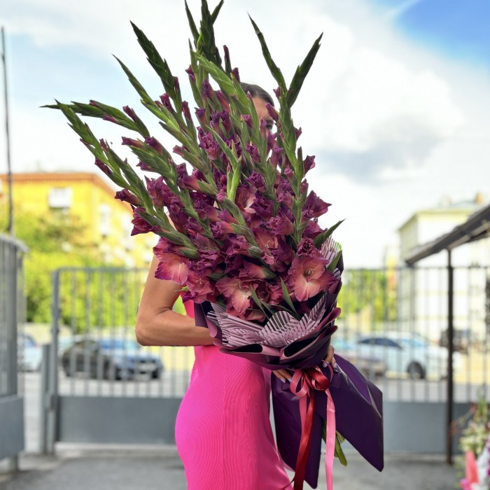 11 розово-фиолетовых гладиолусов в упаковке