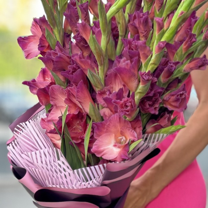 11 розово-фиолетовых гладиолусов в упаковке