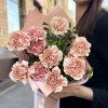 11 розово-персиковых гвоздик
