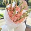 11 розовых гладиолусов