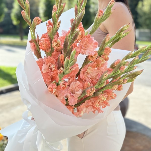 11 розовых гладиолусов