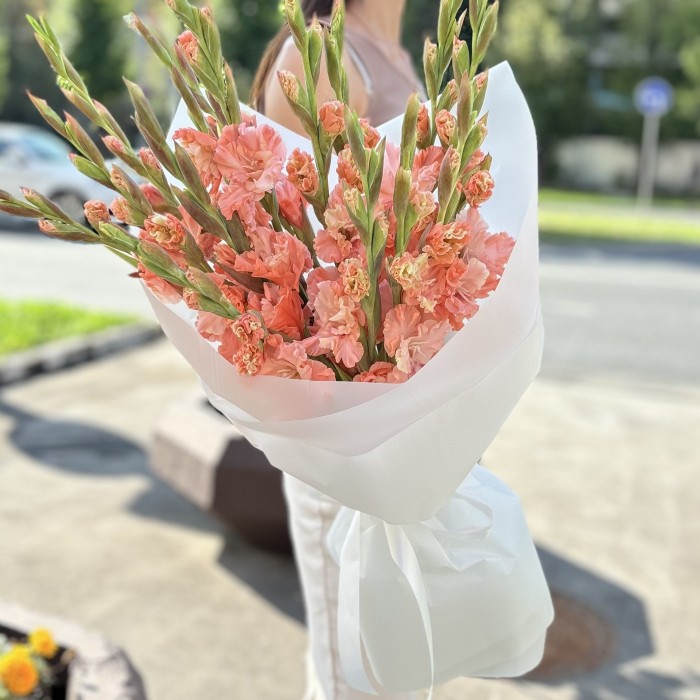 11 розовых гладиолусов