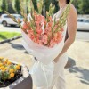 11 розовых гладиолусов