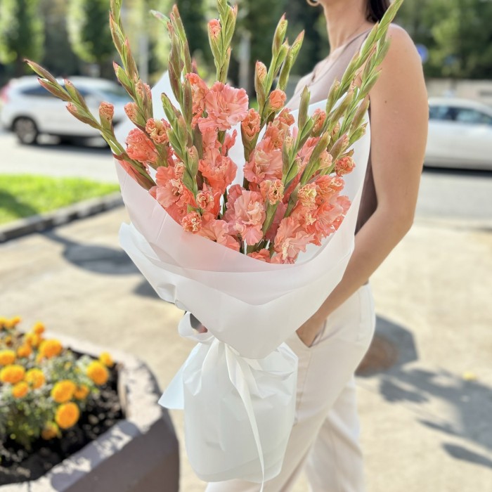 11 розовых гладиолусов