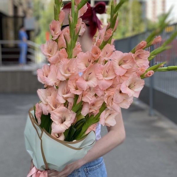 11 розовых гладиолусов с аспидистрой