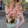 11 розовых гладиолусов с аспидистрой