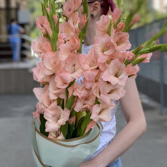 11 розовых гладиолусов с аспидистрой