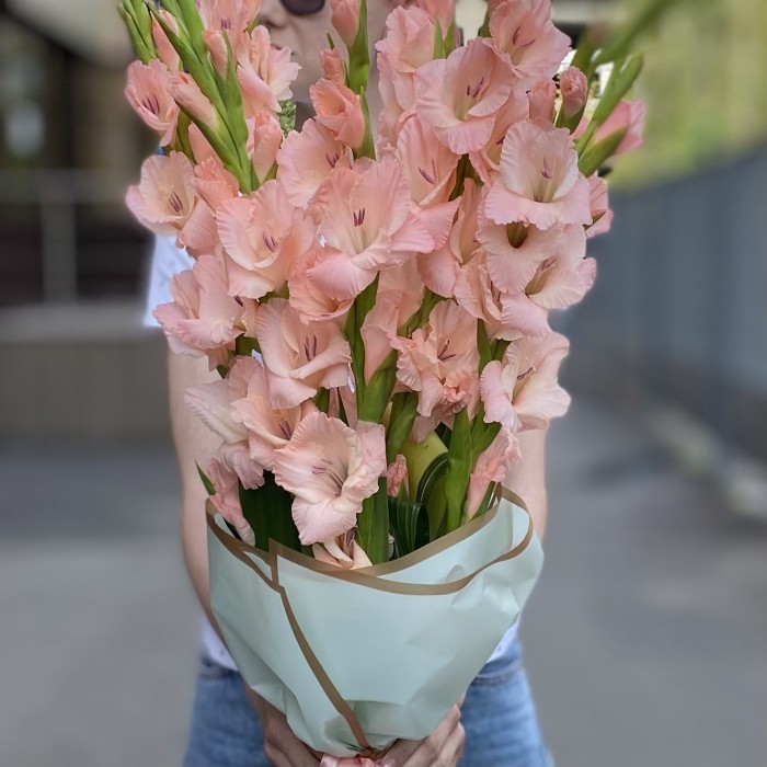 11 розовых гладиолусов с аспидистрой