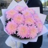 11 розовых хризантем Минка