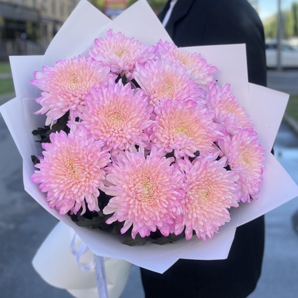 11 розовых хризантем Минка