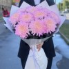 11 розовых хризантем Минка