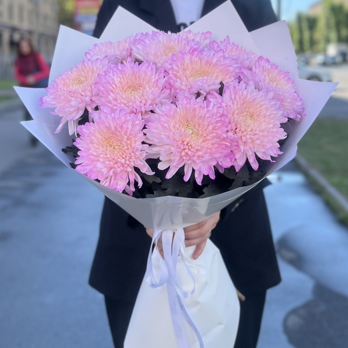 11 розовых хризантем Минка