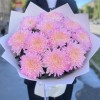 11 розовых хризантем Минка