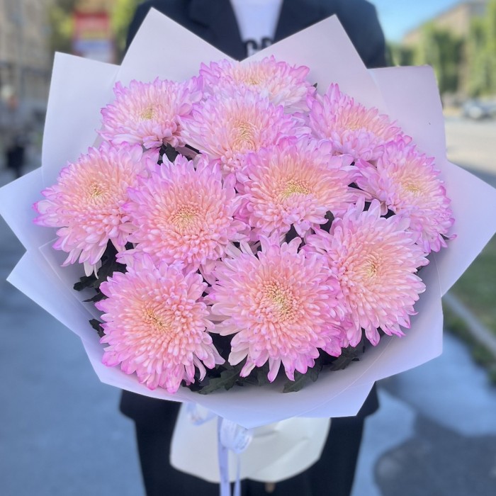 11 розовых хризантем Минка