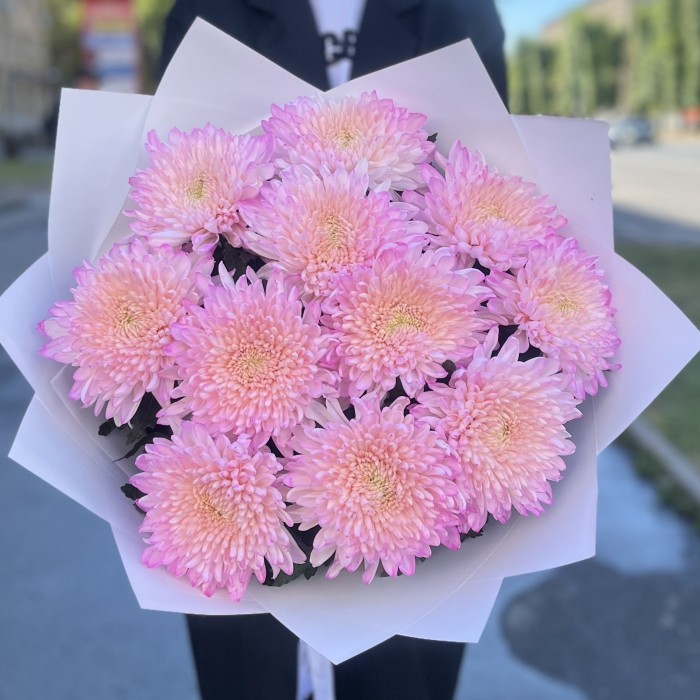 11 розовых хризантем Минка