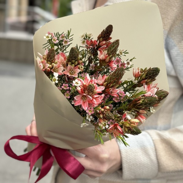 11 розовых орнитогалумов с шамелациумом