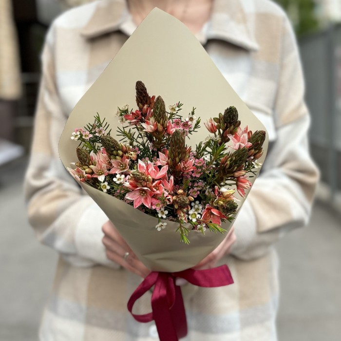 11 розовых орнитогалумов с шамелациумом